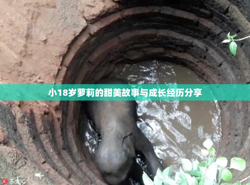 小18岁萝莉的甜美故事与成长经历分享