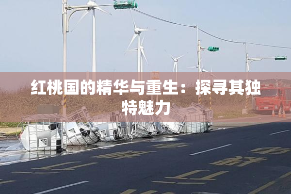红桃国的精华与重生：探寻其独特魅力
