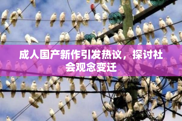 成人国产新作引发热议，探讨社会观念变迁