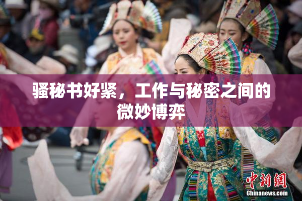 骚秘书好紧，工作与秘密之间的微妙博弈