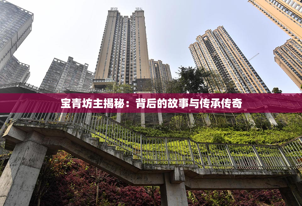 宝青坊主揭秘：背后的故事与传承传奇