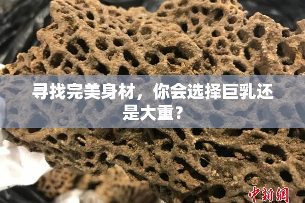 寻找完美身材，你会选择巨乳还是大重？