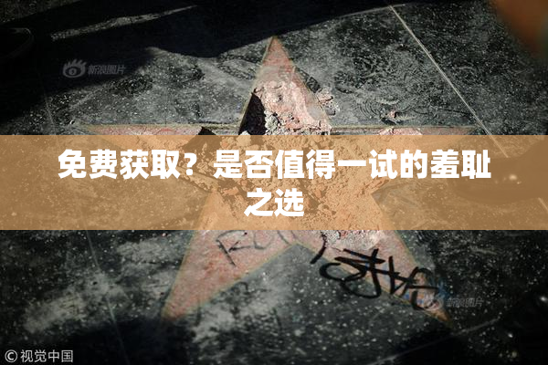 免费获取？是否值得一试的羞耻之选