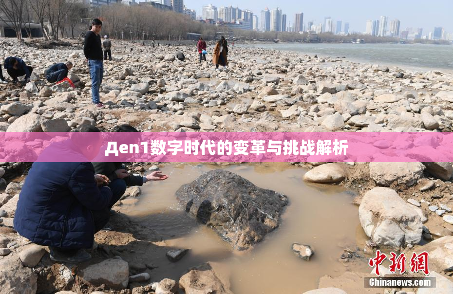 Дen1数字时代的变革与挑战解析