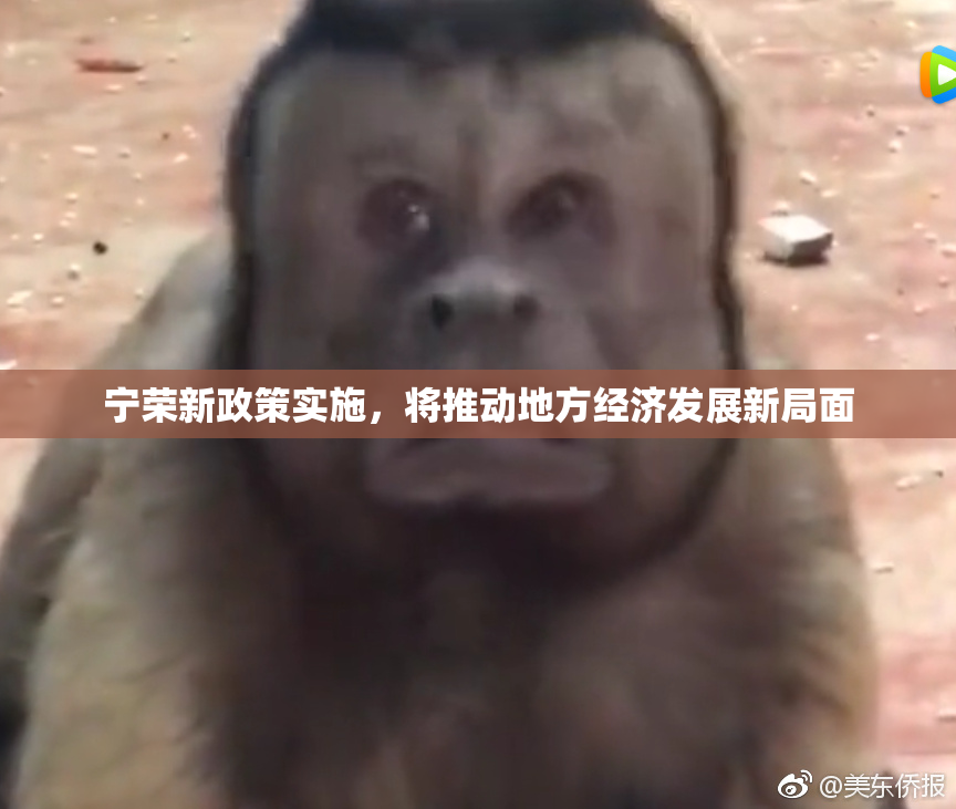 宁荣新政策实施，将推动地方经济发展新局面