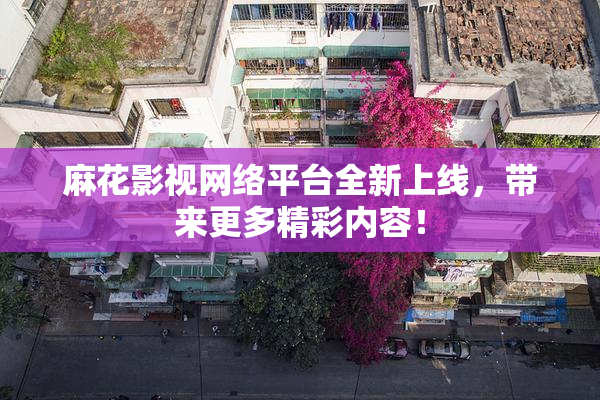 麻花影视网络平台全新上线，带来更多精彩内容！