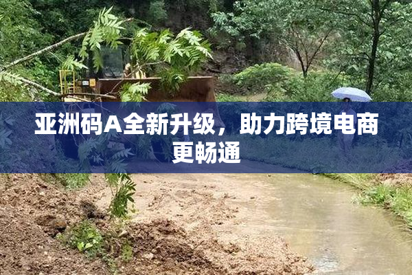亚洲码A全新升级，助力跨境电商更畅通