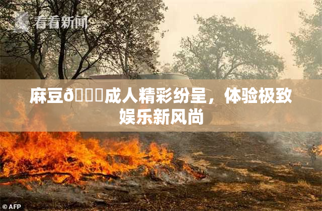 麻豆🔞成人精彩纷呈，体验极致娱乐新风尚