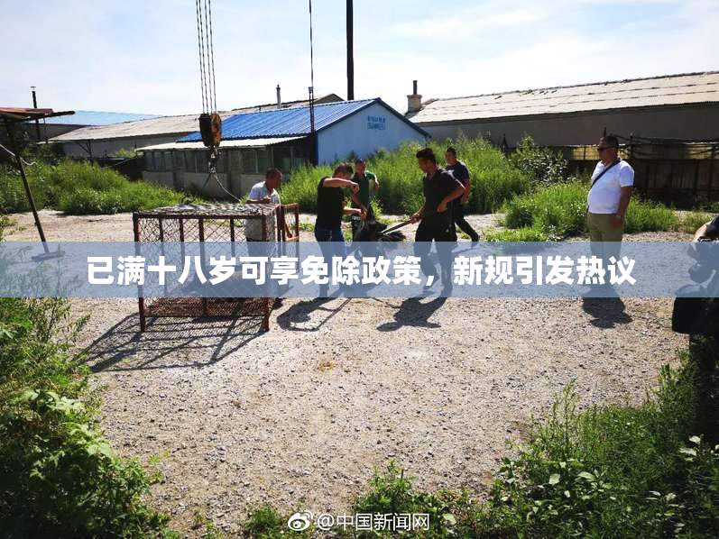 已满十八岁可享免除政策，新规引发热议