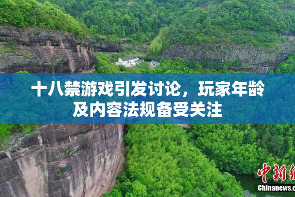 十八禁游戏引发讨论，玩家年龄及内容法规备受关注