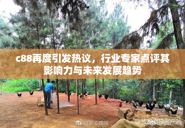 c88再度引发热议，行业专家点评其影响力与未来发展趋势