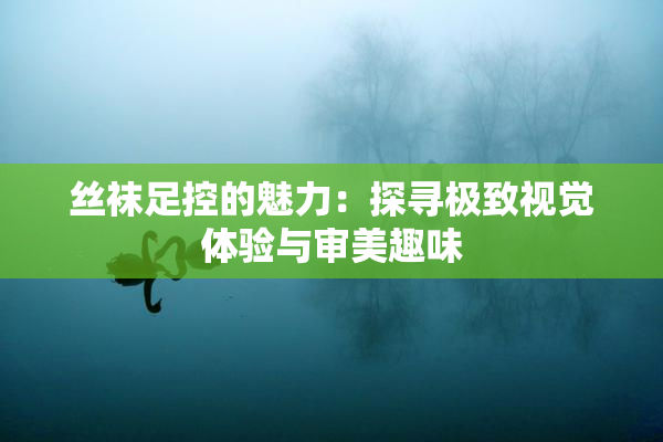 丝袜足控的魅力：探寻极致视觉体验与审美趣味