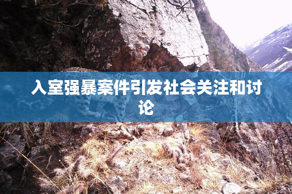 入室强暴案件引发社会关注和讨论