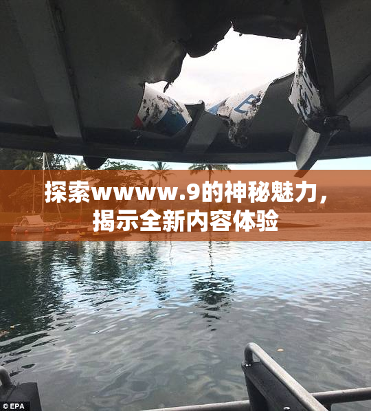 探索wwww.9的神秘魅力，揭示全新内容体验
