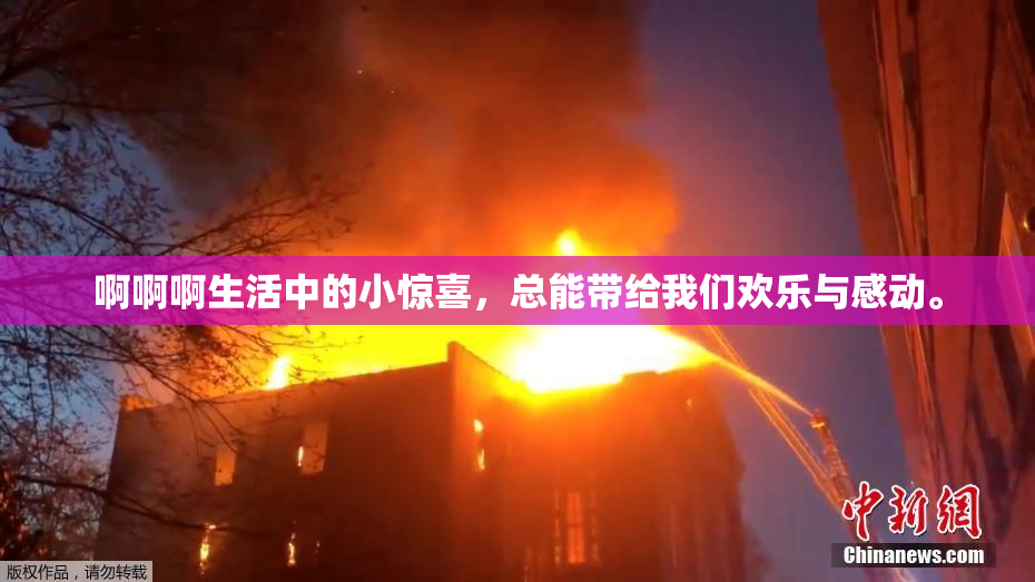 啊啊啊生活中的小惊喜，总能带给我们欢乐与感动。