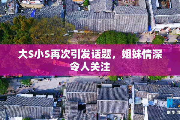 大S小S再次引发话题，姐妹情深令人关注