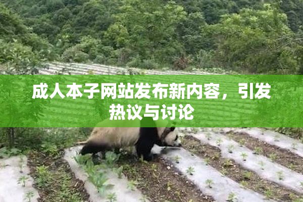 成人本子网站发布新内容，引发热议与讨论