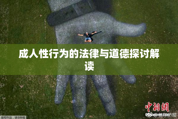 成人性行为的法律与道德探讨解读