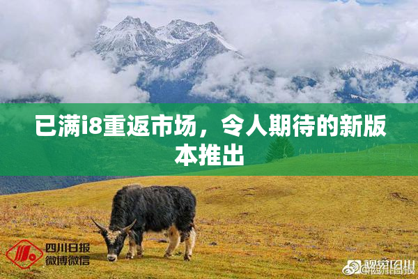已满i8重返市场，令人期待的新版本推出