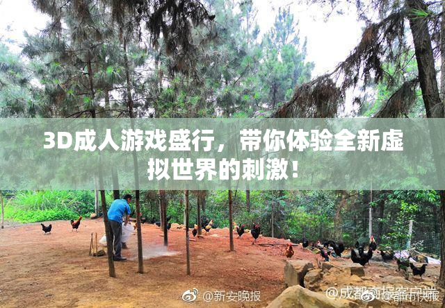 3D成人游戏盛行，带你体验全新虚拟世界的刺激！