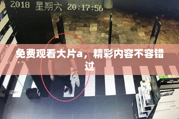 免费观看大片a，精彩内容不容错过
