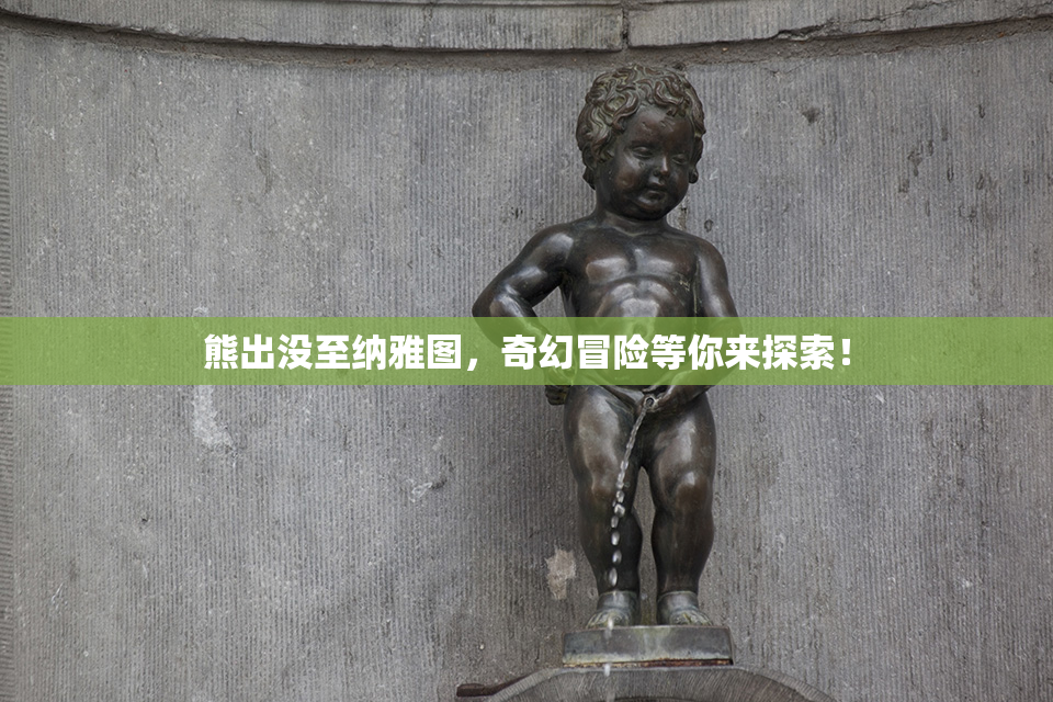 熊出没至纳雅图，奇幻冒险等你来探索！