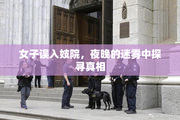 女子误入妓院，夜晚的迷雾中探寻真相