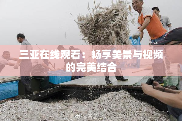 三亚在线观看：畅享美景与视频的完美结合