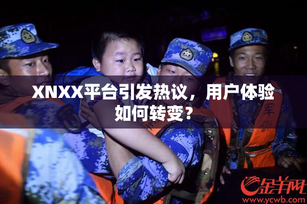 XNXX平台引发热议，用户体验如何转变？