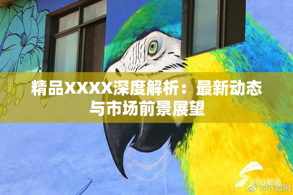精品XXXX深度解析：最新动态与市场前景展望