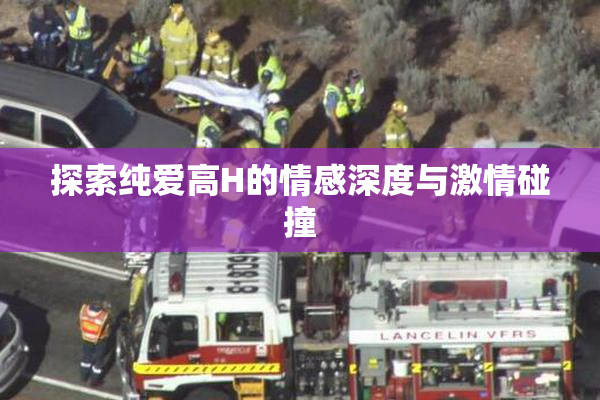 探索纯爱高H的情感深度与激情碰撞