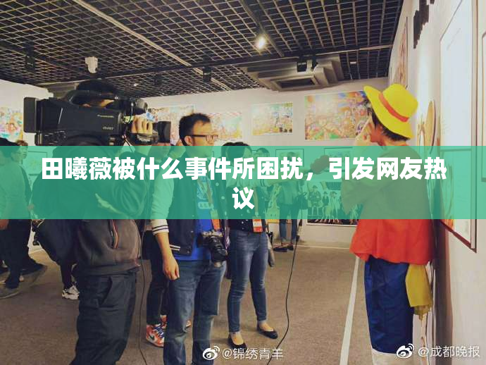 田曦薇被什么事件所困扰，引发网友热议