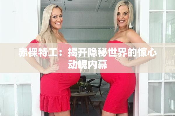 赤裸特工：揭开隐秘世界的惊心动魄内幕