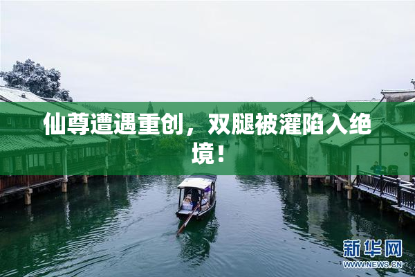 仙尊遭遇重创，双腿被灌陷入绝境！