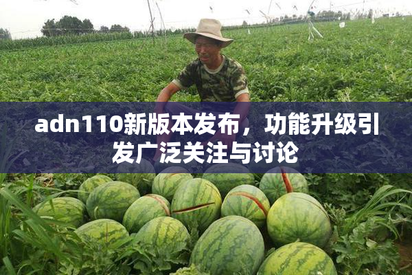 adn110新版本发布，功能升级引发广泛关注与讨论