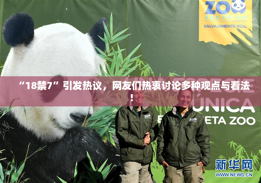 “18禁7”引发热议，网友们热衷讨论多种观点与看法！