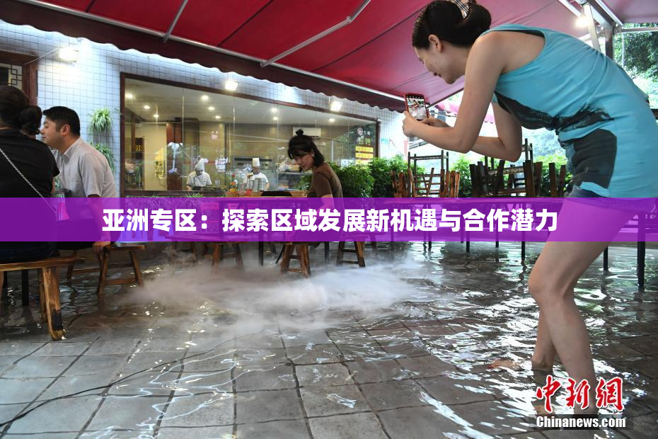 亚洲专区：探索区域发展新机遇与合作潜力