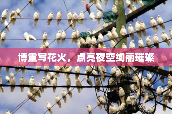 博重写花火，点亮夜空绚丽璀璨