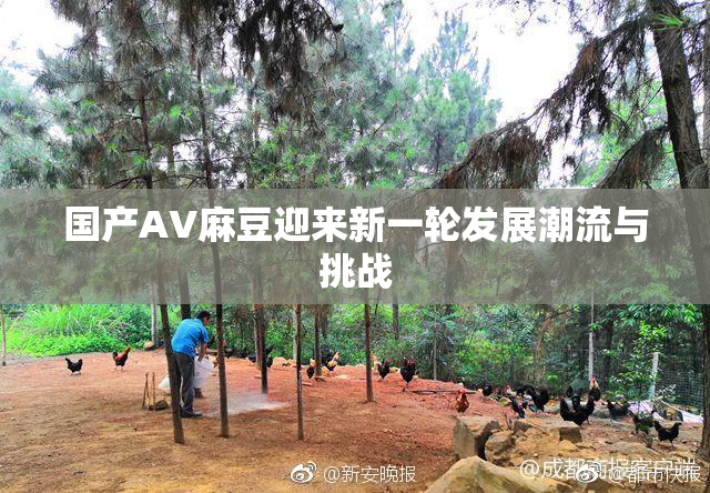 国产AV麻豆迎来新一轮发展潮流与挑战