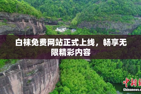 白袜免费网站正式上线，畅享无限精彩内容