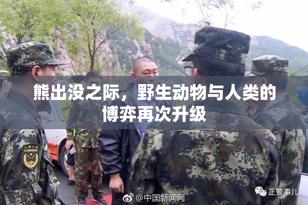 熊出没之际，野生动物与人类的博弈再次升级