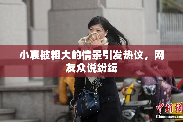 小哀被粗大的情景引发热议，网友众说纷纭