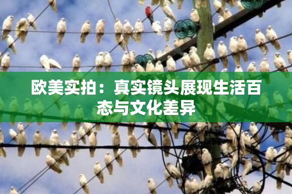 欧美实拍：真实镜头展现生活百态与文化差异