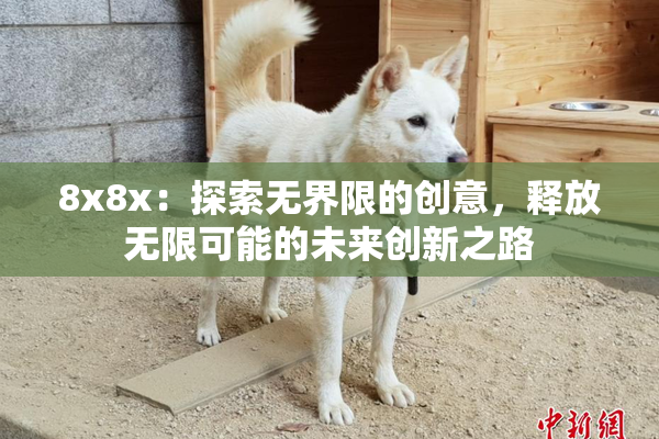 8x8x：探索无界限的创意，释放无限可能的未来创新之路