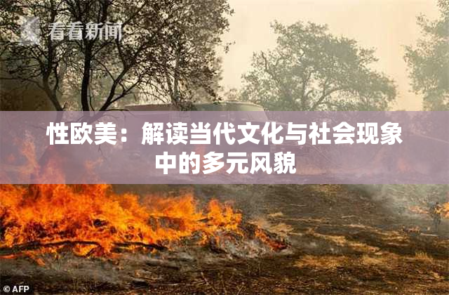 性欧美：解读当代文化与社会现象中的多元风貌