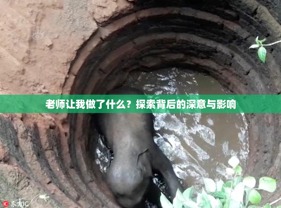老师让我做了什么？探索背后的深意与影响