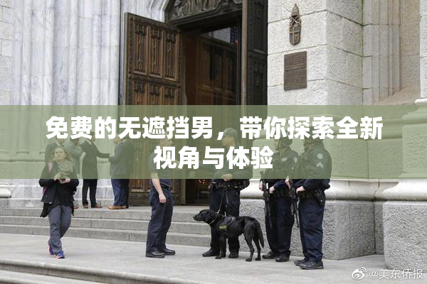 免费的无遮挡男，带你探索全新视角与体验