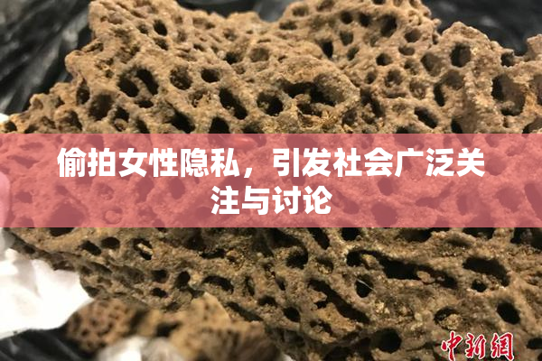 偷拍女性隐私，引发社会广泛关注与讨论