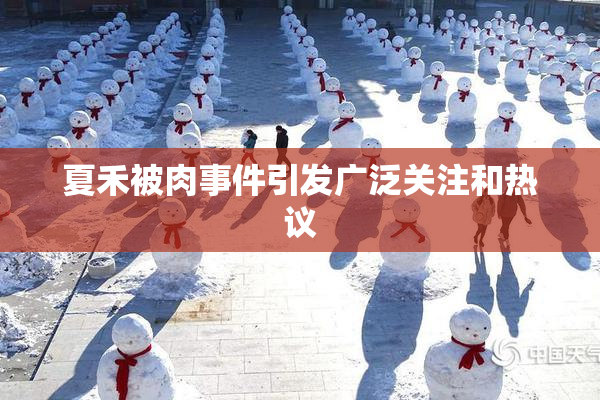 夏禾被肉事件引发广泛关注和热议