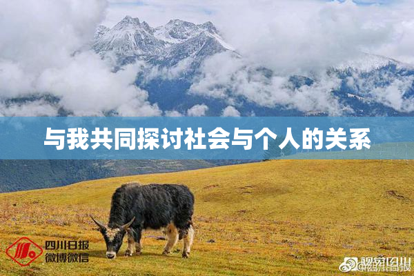 与我共同探讨社会与个人的关系